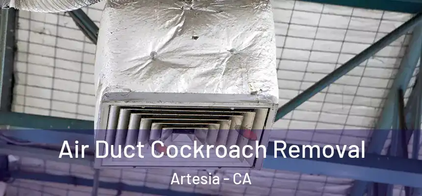  Air Duct Cockroach Removal Artesia - CA