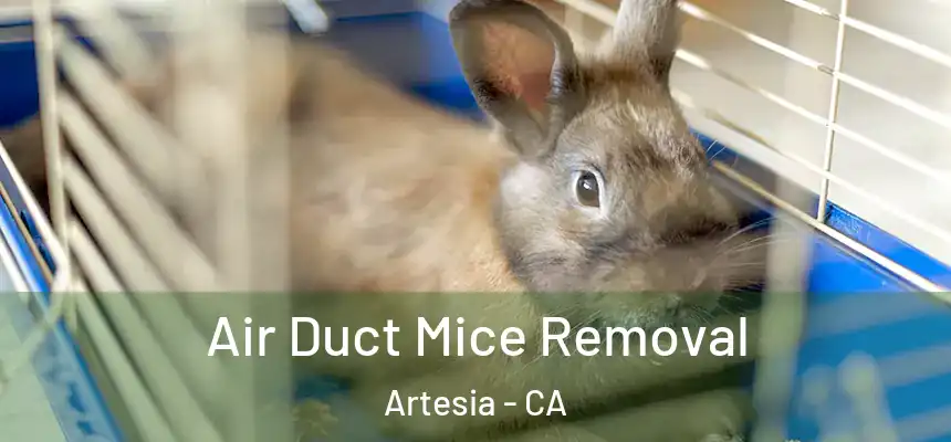 Air Duct Mice Removal Artesia - CA