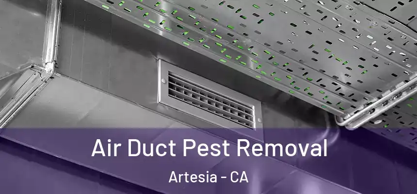 Air Duct Pest Removal Artesia - CA