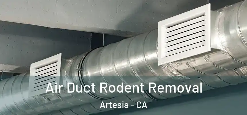 Air Duct Rodent Removal Artesia - CA