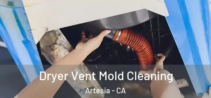  Dryer Vent Mold Cleaning Artesia - CA