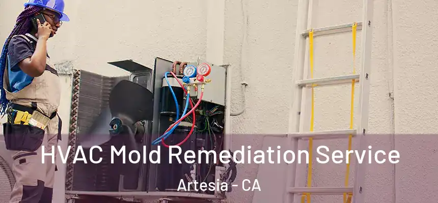  HVAC Mold Remediation Service Artesia - CA