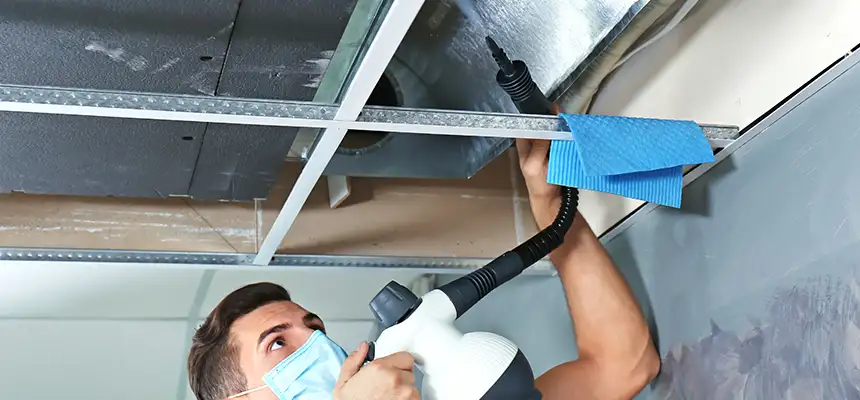Our Air Duct Rodent Removal Services in Artesia, CA