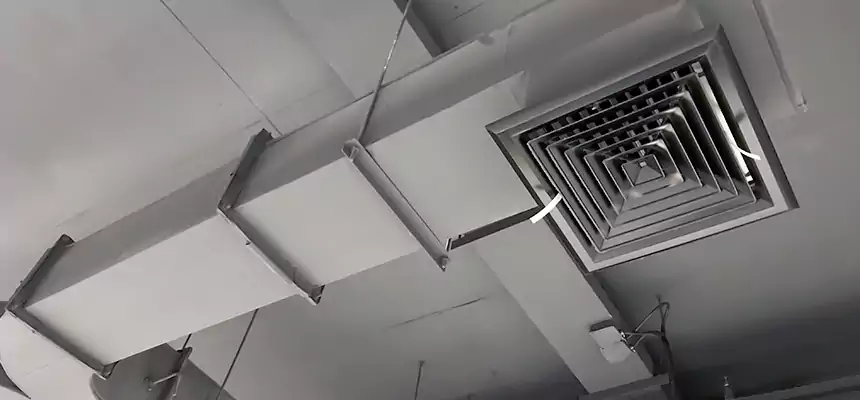 Restorative Allergy Relief Vent Cleaning – Coil, Blower & Housing Detail in Artesia