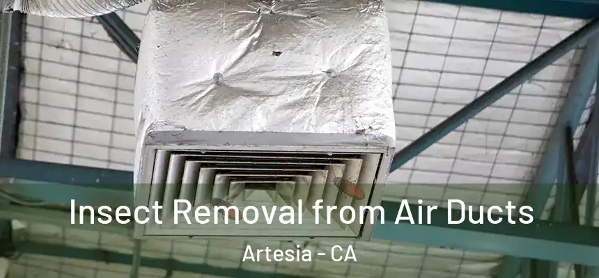  Insect Removal from Air Ducts Artesia - CA