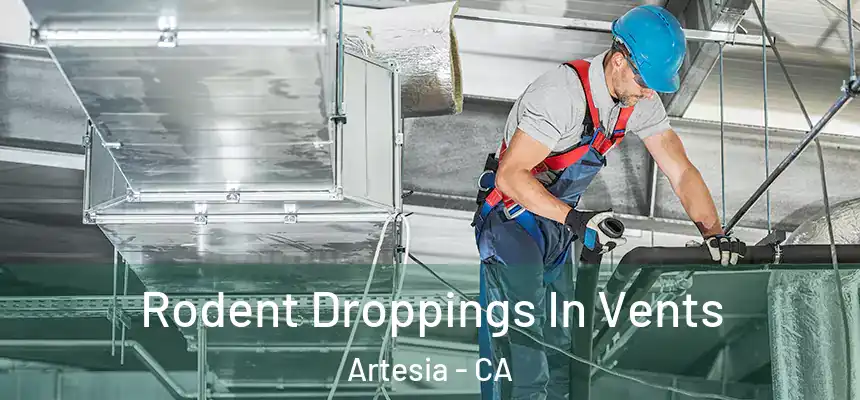 Rodent Droppings In Vents Artesia - CA