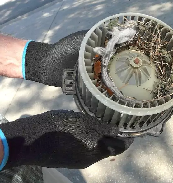 About Air Duct Rat Removal in Artesia, CA