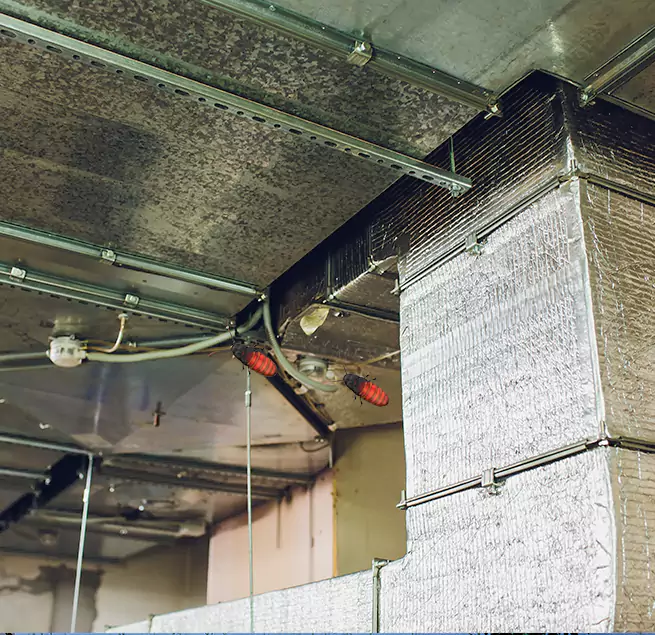 Why Homeowners & Businesses Trust Us in Artesia, CA?