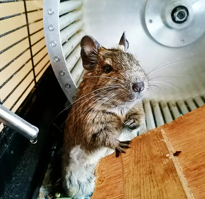 Why Homeowners & Businesses Trust Us Artesia, CA