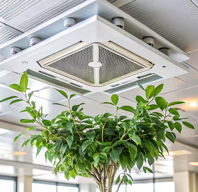 Why Homeowners & Businesses Trust Us in Artesia, CA